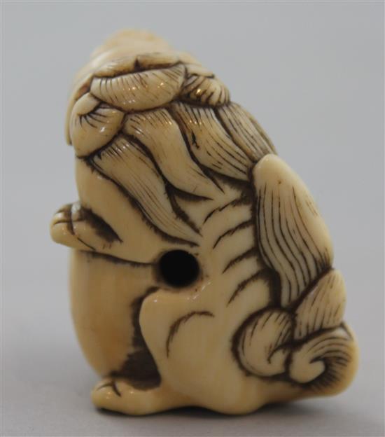 A Japanese ivory netsuke of a shi-shi, Edo period, 4cm